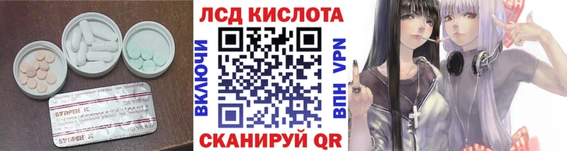 ЛСД экстази ecstasy  OMG сайт  Ядрин 