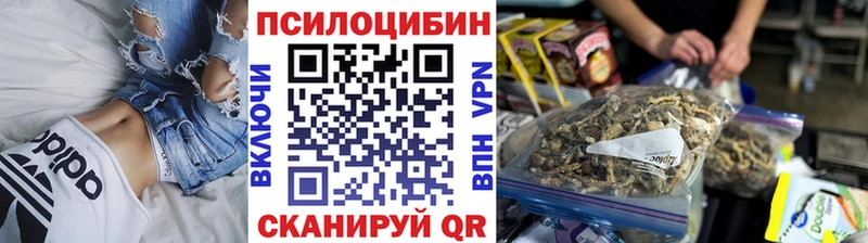 Псилоцибиновые грибы GOLDEN TEACHER  где можно купить   Ядрин 