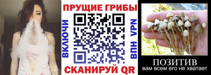 Галлюциногенные грибы мухоморы Ядрин